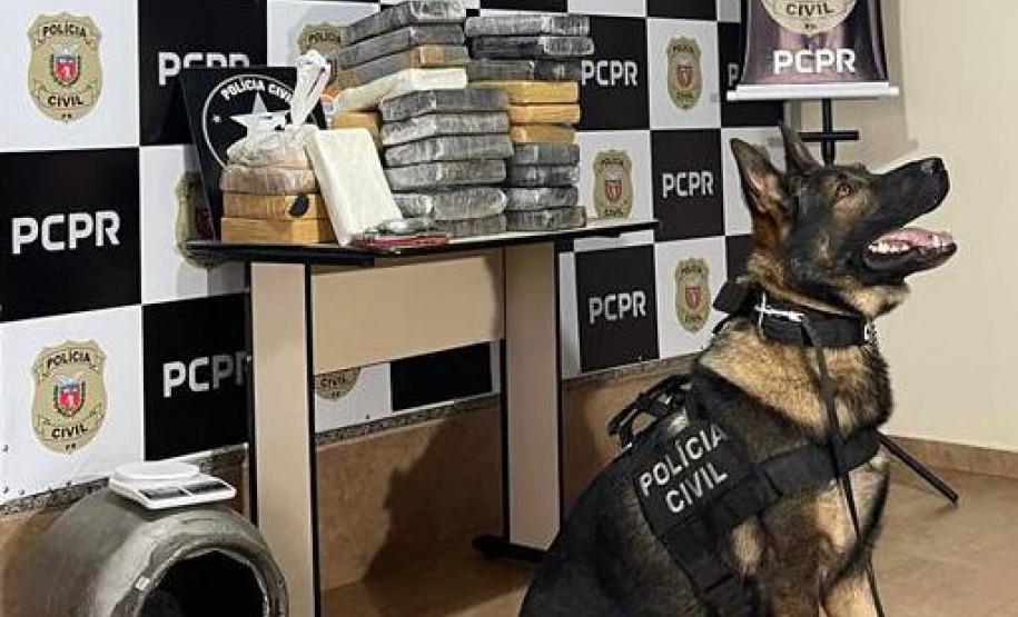 Cão policial ao lado de droga apreendida