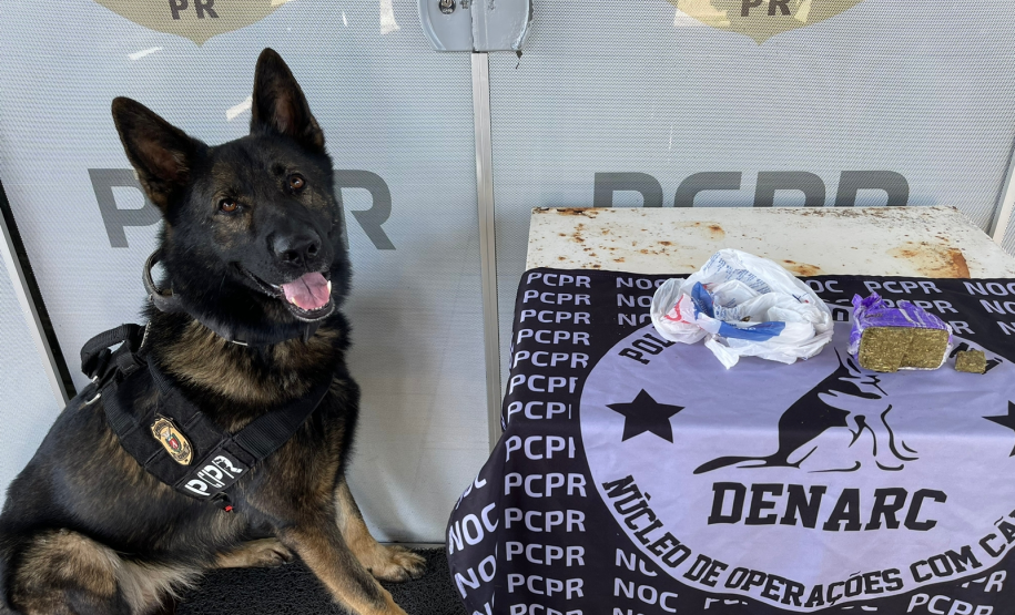 PCPR prende homem por tráfico de drogas em Pontal do Paraná