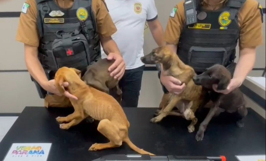 PCPR e PMPR prendem mulher e apreende adolescente por maus-tratos em Matinhos