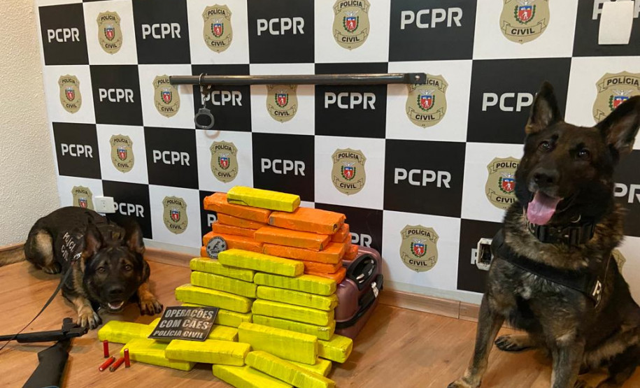 PCPR prende indivíduos e apreende droga e arma em Mandaguari