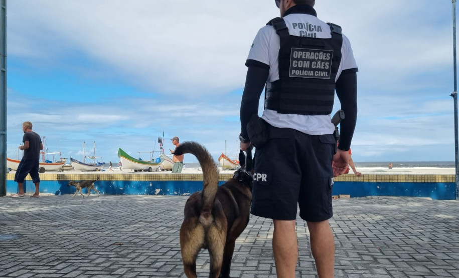 PCPR realiza fiscalização com auxílio de cães policiais no Litoral