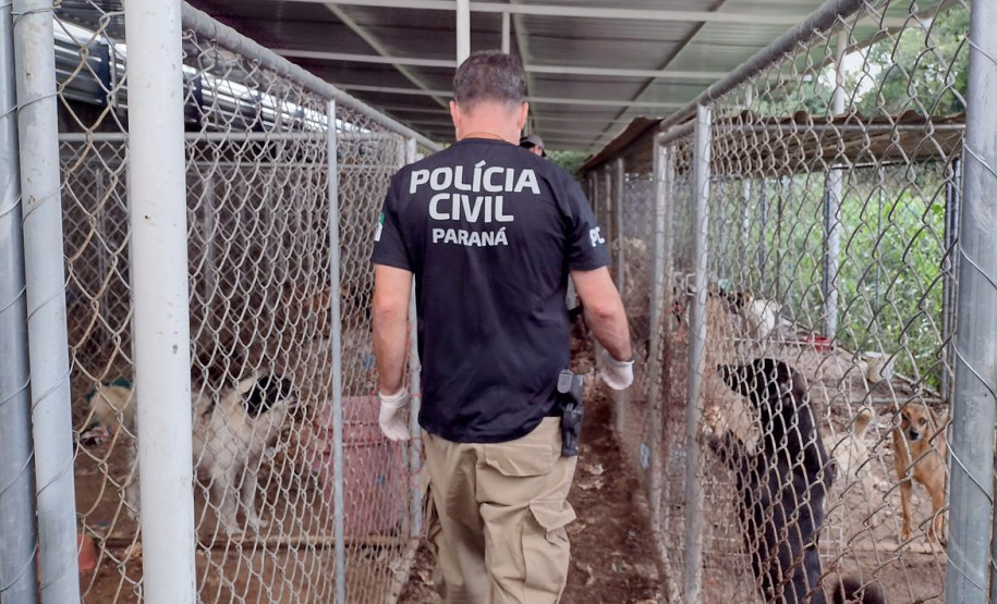 PCPR salva 300 cães em maior ação de resgate da história do Paraná