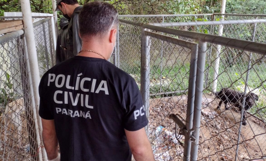 PCPR salva 300 cães em maior ação de resgate da história do Paraná