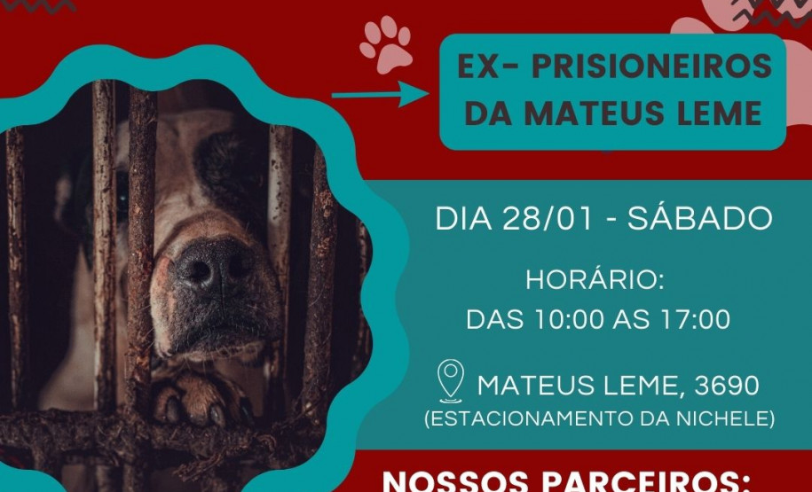 Banner do evento