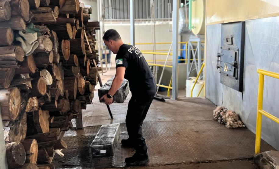 Policial civil empilhando tabletes de droga