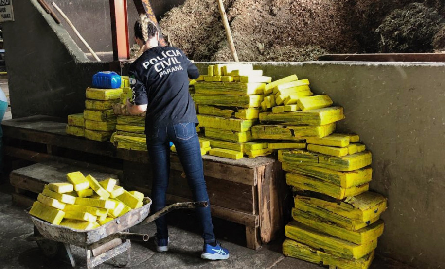 Policial civil separa tabletes de droga para incineração