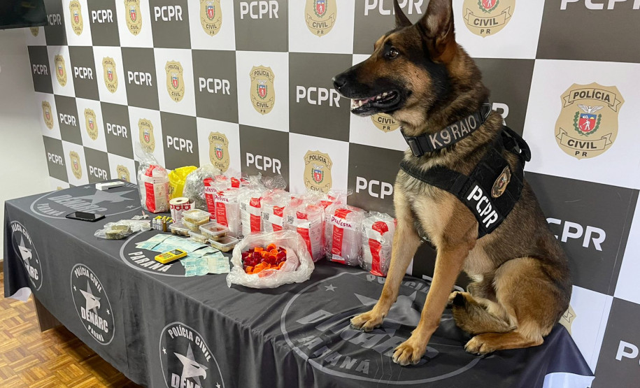 Cão policial ao lado de material apreendido