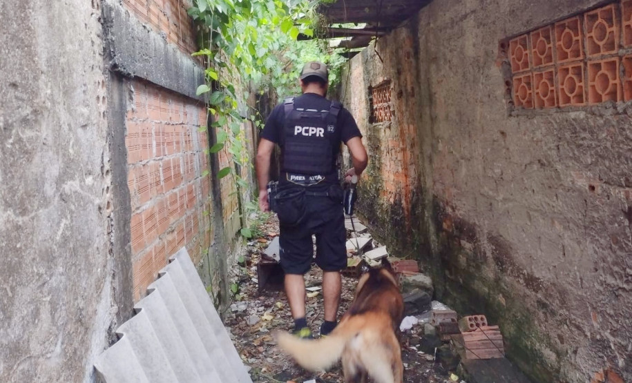 Policial civil em busca com cão policial