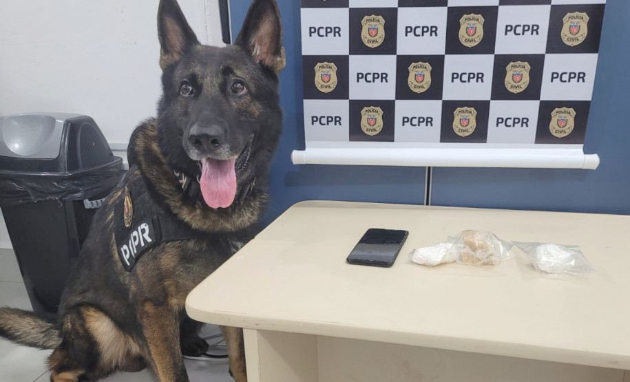 Cão policial ao lado de produtos apreendidos