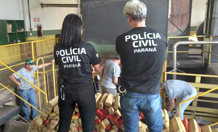 PCPR incinera mais de 1 tolenada de maconha em Icaraíma