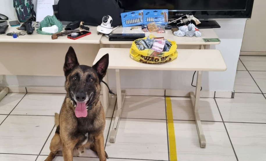 PCPR deflagra operação contra o tráfico de drogas e prende em flagrante três pessoas em Arapoti