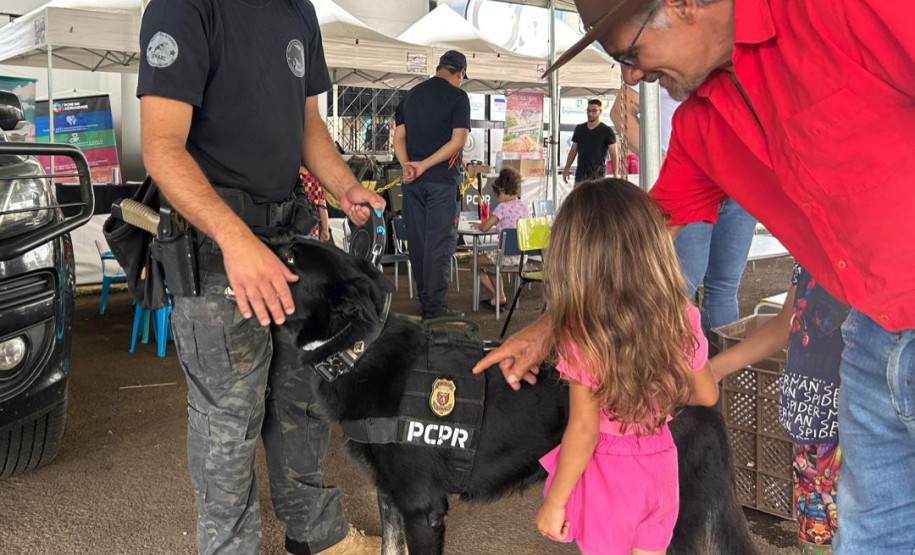 PCPR na Comunidade atende população em Palmas