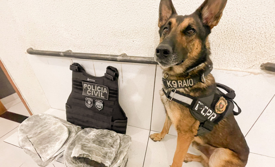 PCPR e PRF apreendem 18 quilos de haxixe em Mandaguari