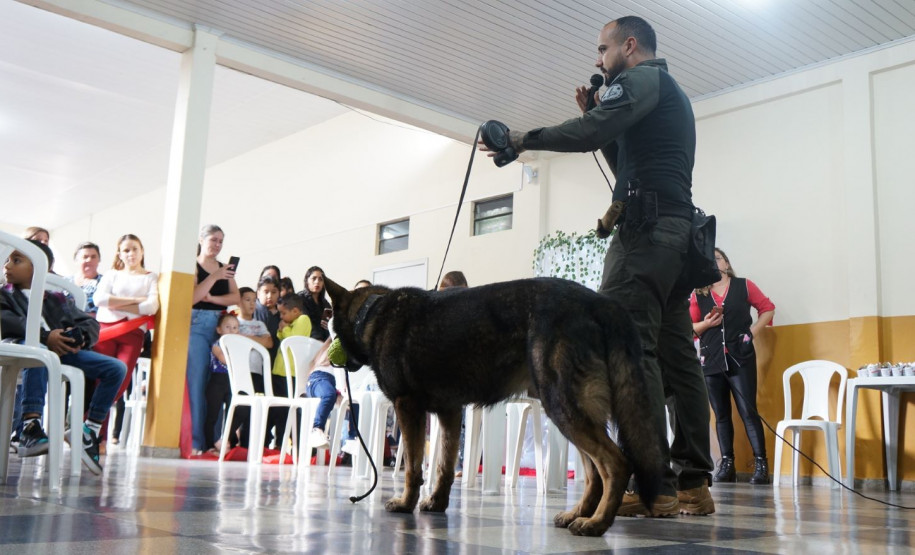 PCPR confecciona mais de 400 carteiras de identidade durante PCPR na Comunidade em Colombo