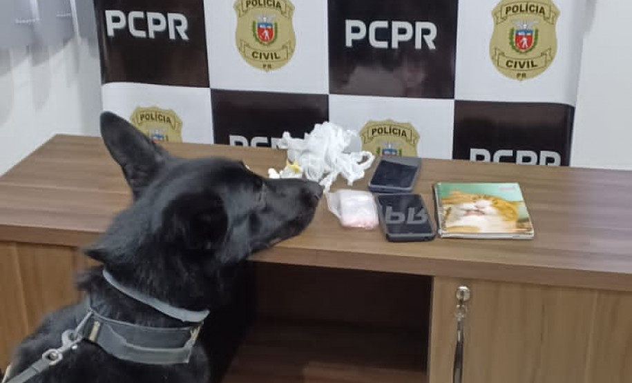 PCPR prende bombeiro militar durante segunda fase de operação em Irati