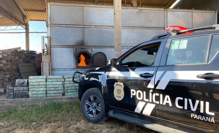 PCPR incinera mais de meia tonelada de drogas em Palmeira