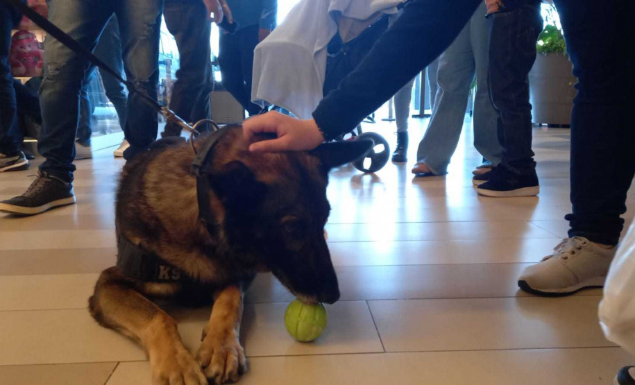 PCPR na Comunidade atende cerca de mil pessoas durante evento de conscientização sobre drogas na Capital