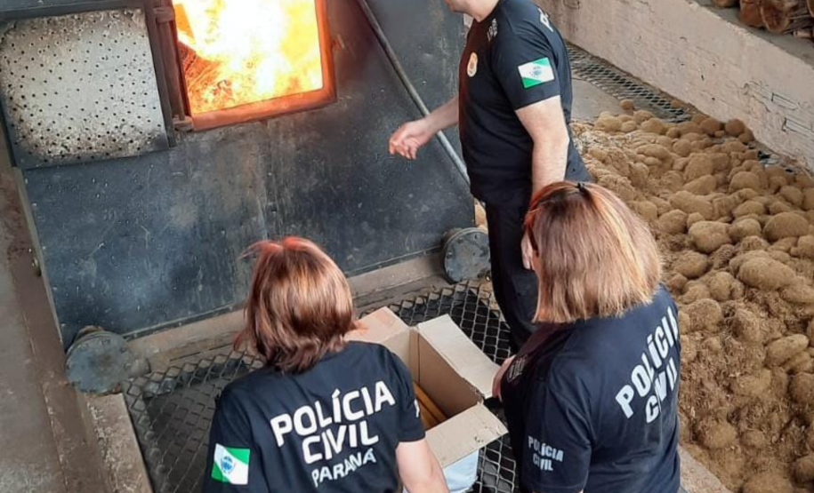 PCPR incinera mais de 3 toneladas de drogas em Iporã