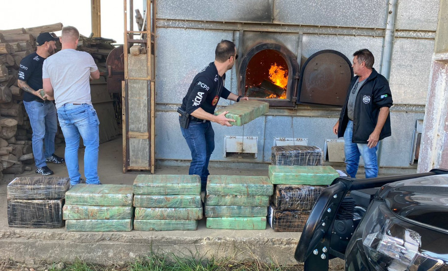 PCPR incinera mais de meia tonelada de drogas em Palmeira