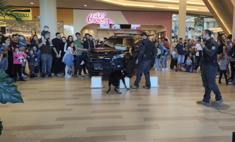 PCPR na Comunidade atende cerca de mil pessoas durante evento de conscientização sobre drogas na Capital