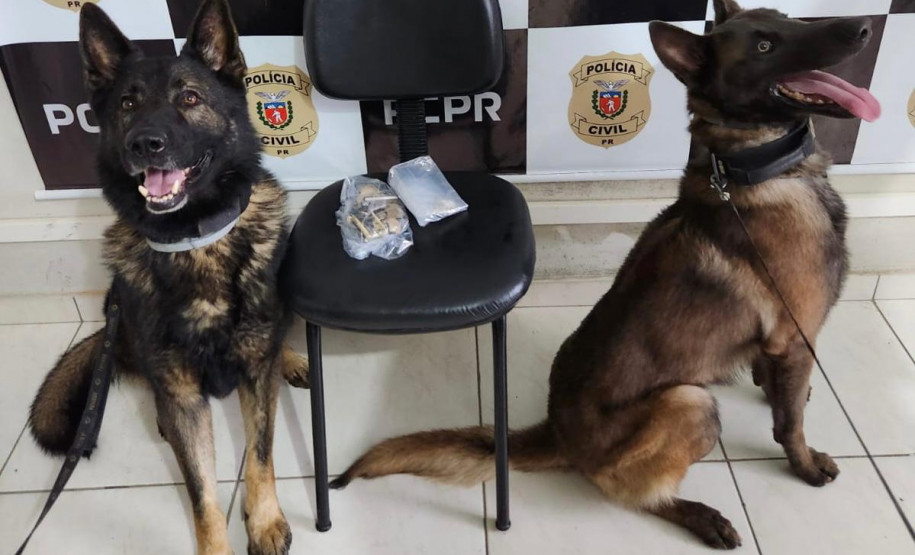 PCPR prende três pessoas em operação contra tráfico de drogas em Jaguariaíva