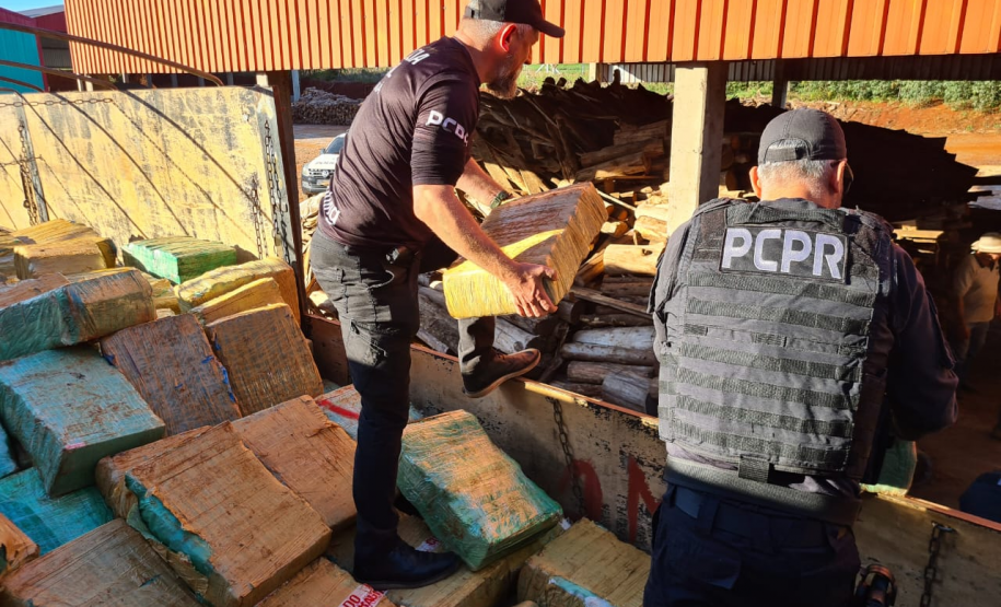 PCPR incinera cinco toneladas de drogas em Francisco Beltrão