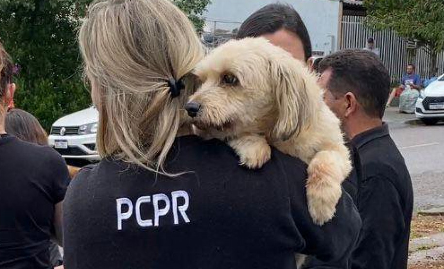 PCPR prende em flagrante homem por maus-tratos a animais em Curitiba