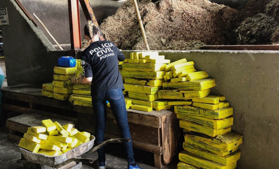 PCPR incinera 300 quilos de drogas em Mandaguari