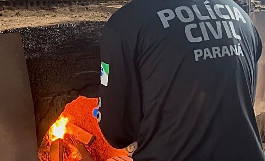 PCPR incinera mais de 10 quilos de drogas em Salto do Lontra