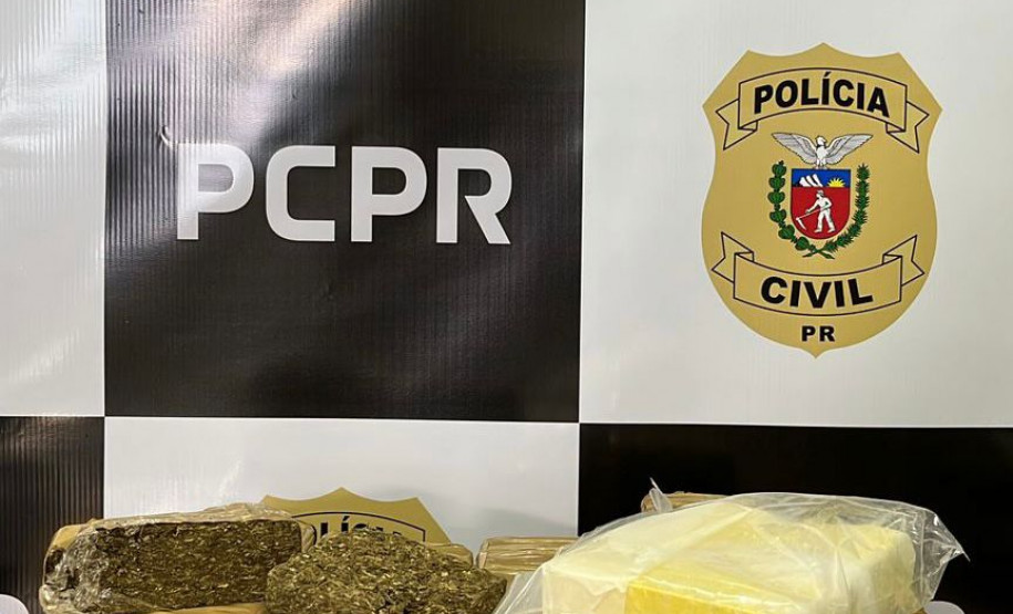 PCPR incinera mais de 10 quilos de drogas em Salto do Lontra