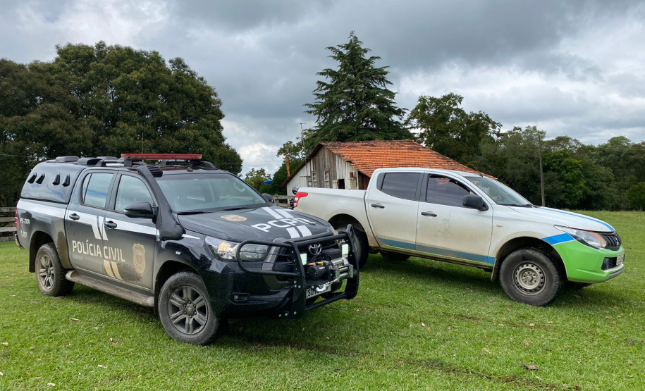 PCPR realiza operação de combate aos maus-tratos de animais em Palmeira