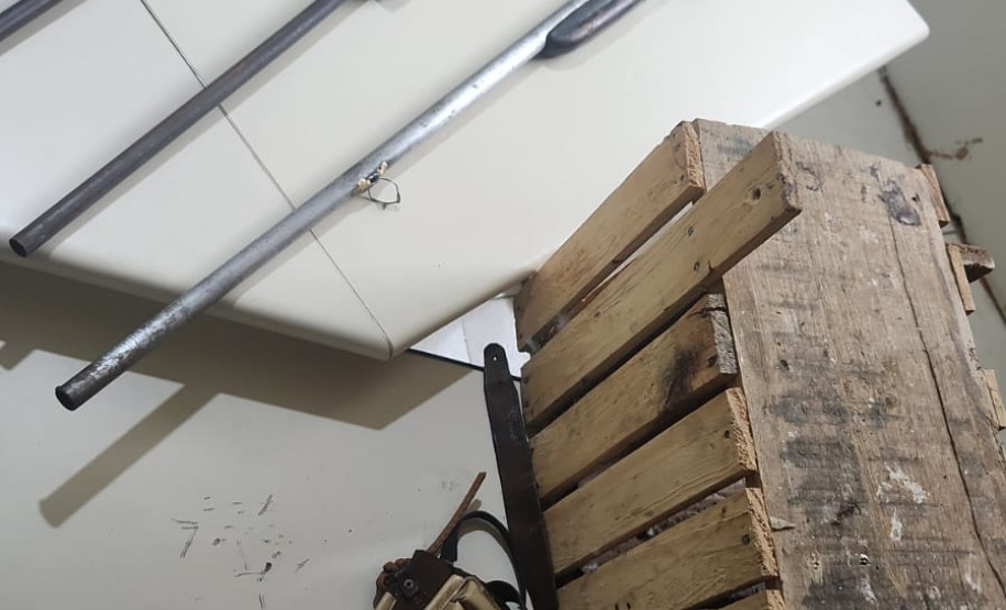 PCPR e PMPR prendem homem por tráfico de animais silvestres e outros dois por posse ilegal de arma de fogo