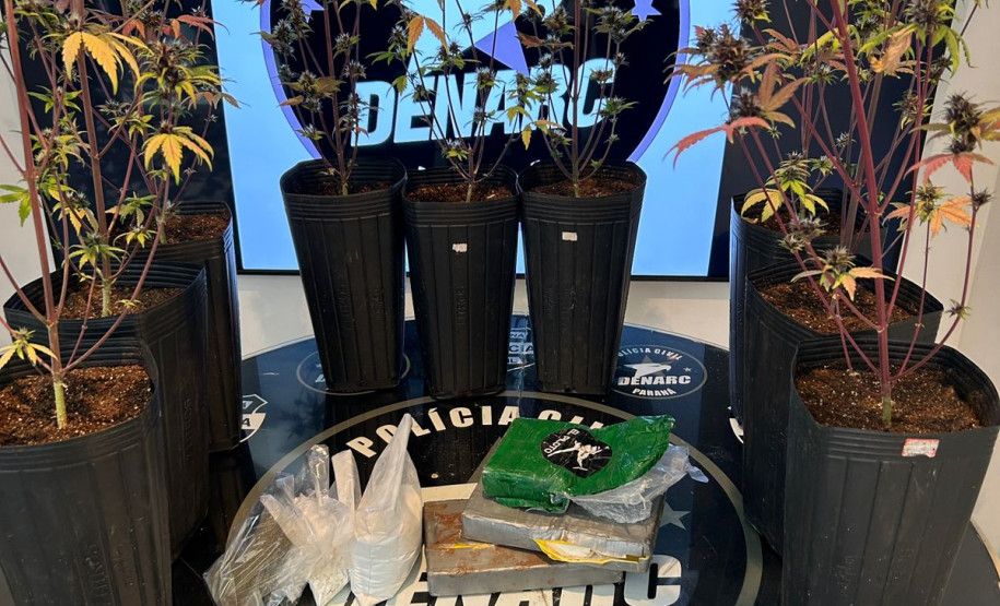 PCPR prende oito pessoas durante operação contra o tráfico de drogas em Londrina