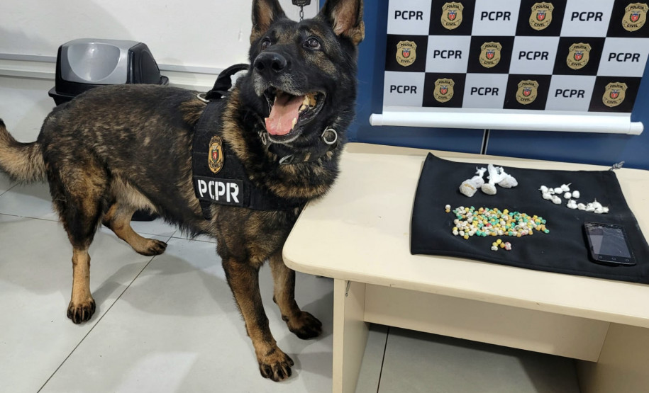 PCPR prende homem em flagrante por tráfico e apreende drogas em Maringá