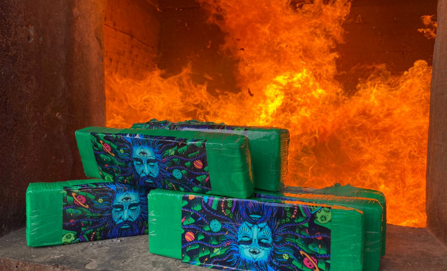 PCPR incinera mais de 200 quilos de drogas em Palmeira