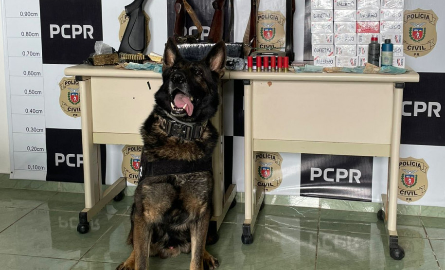 PCPR prende quatro pessoas em operação contra o tráfico de drogas em Sengés