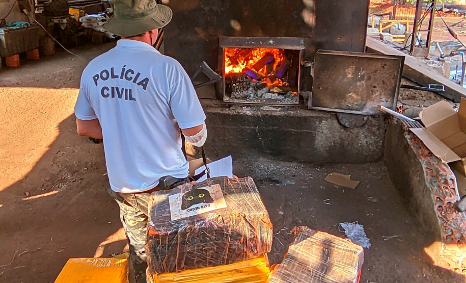 PCPR incinera 5 toneladas de maconha em Porecatu