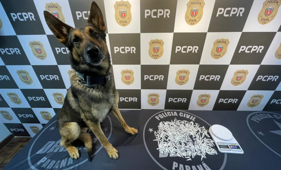 PCPR e PMPR prendem 20 pessoas em operação contra organização criminosa ligada ao tráfico de drogas no Centro de Curitiba