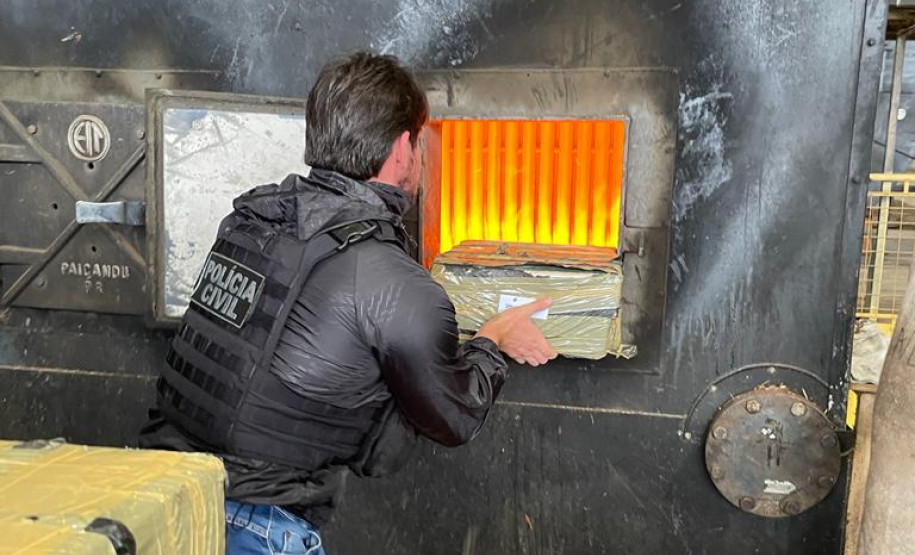 PCPR incinera meia tonelada de droga em Arapongas