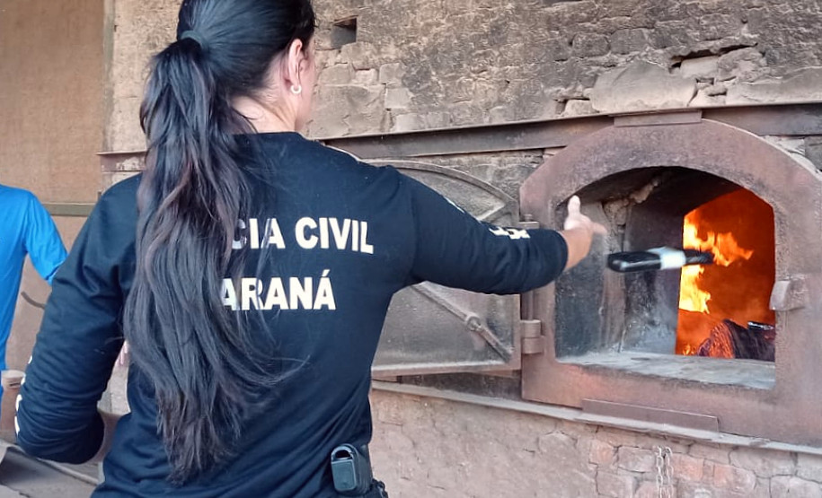 PCPR incinera 3 toneladas de drogas em Campo Mourão
