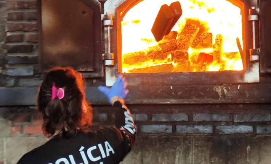 PCPR incinera 3,1 toneladas de droga em Cascavel