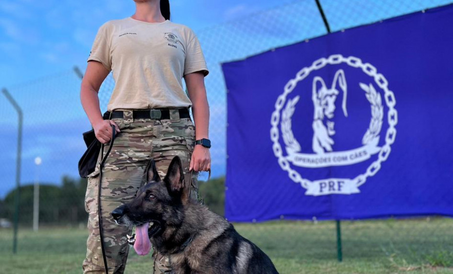 PCPR participa de Curso de Operações com Cães Farejadores em Brasília