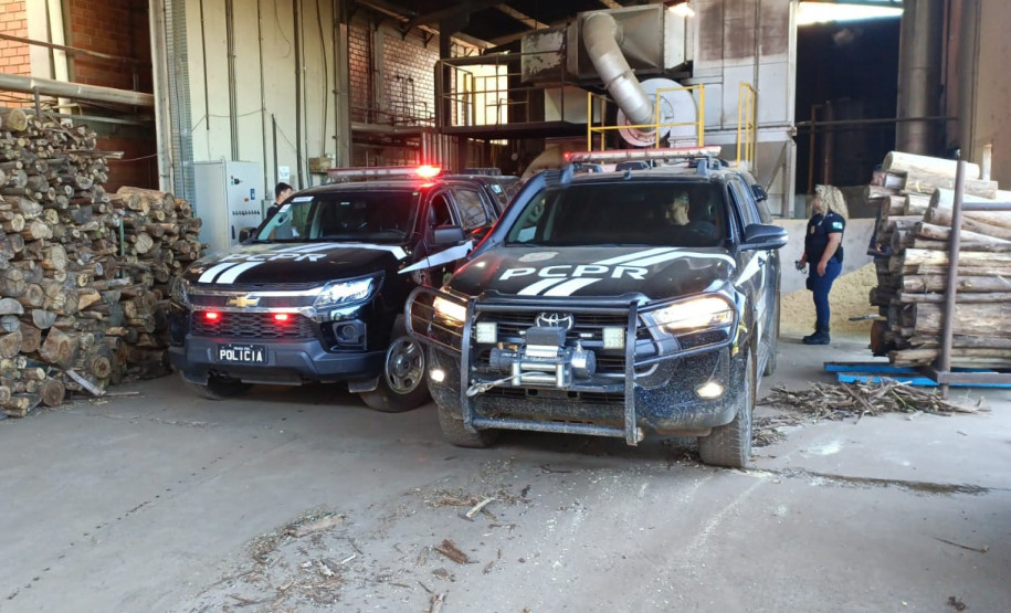 PCPR incinera meia tonelada de drogas em Ponta Grossa