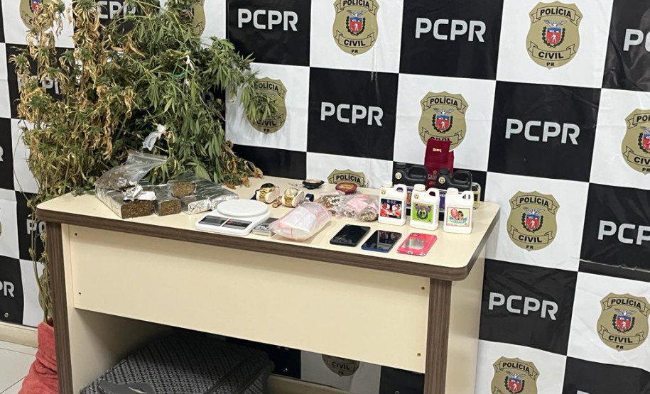 PCPR descobre estufa de maconha e recupera jóias furtadas, um homem foi preso