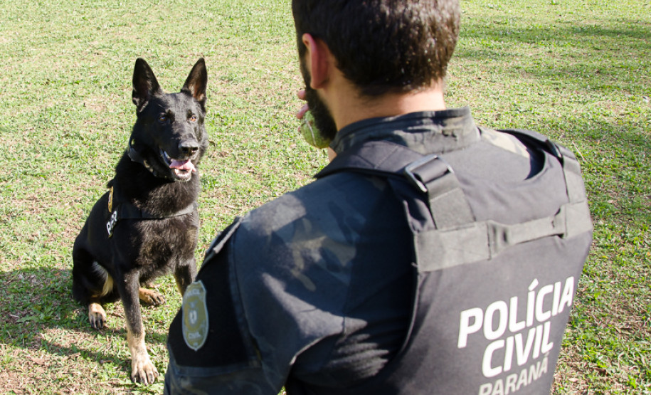 PCPR e PCSC apreendem 45 quilos de drogas e prendem homem em Santa Catarina