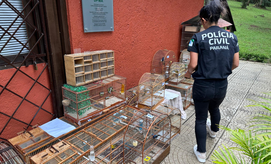 PCPR prende nove pessoas e apreende 390 animais silvestres em operação contra organização criminosa ligada ao tráfico de animais