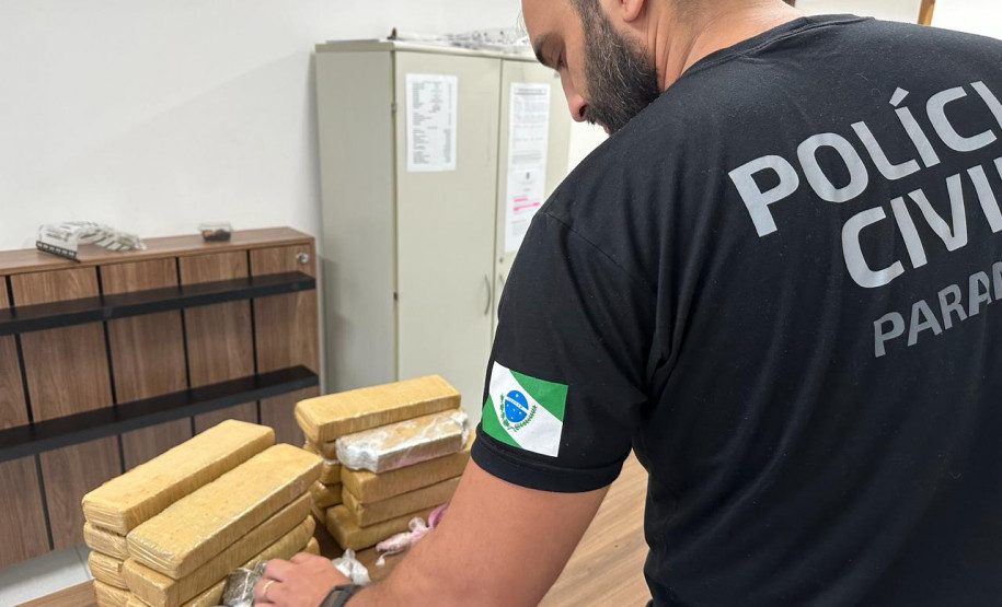 PCPR realiza 16,6 mil procedimentos de polícia judiciária no Verão Maior Paraná