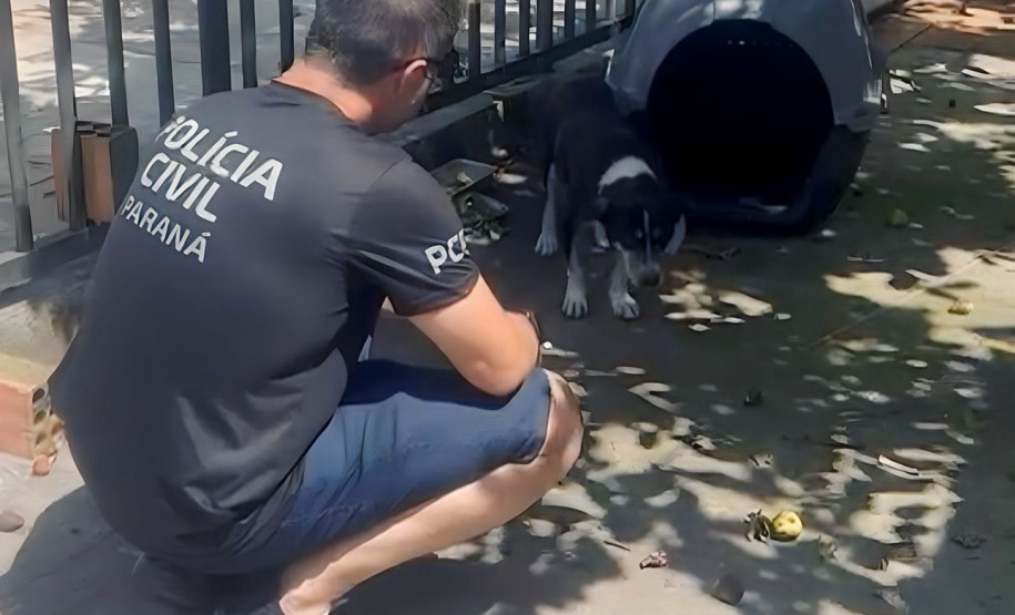 PCPR prende homem por maus-tratos em Matinho