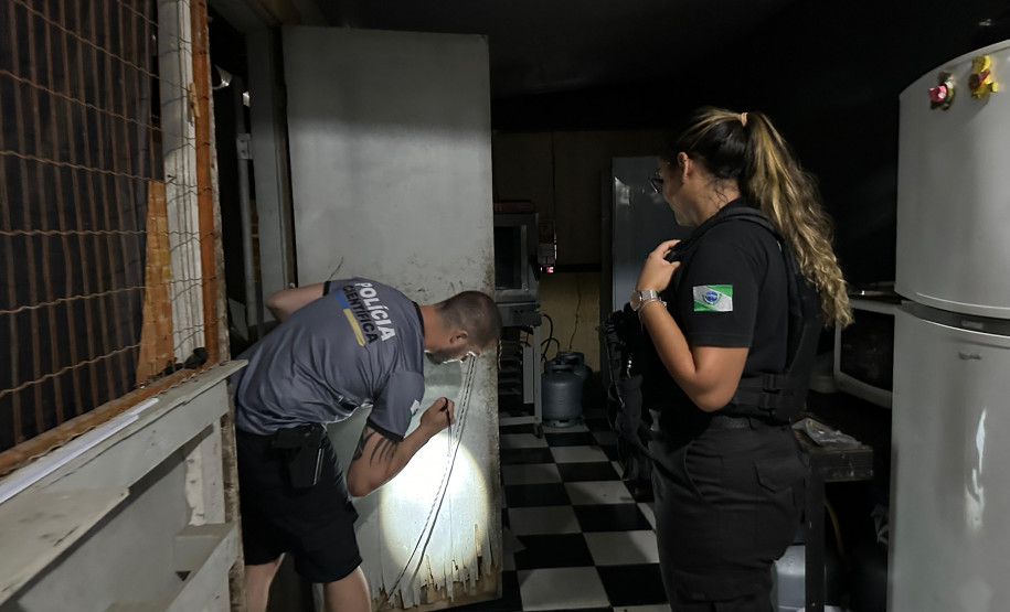 Forças policiais já realizaram 352 diligências especializadas durante o Verão Maior Paraná