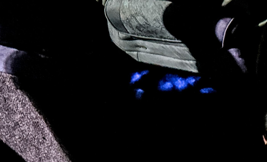 Forças policiais já realizaram 352 diligências especializadas durante o Verão Maior Paraná